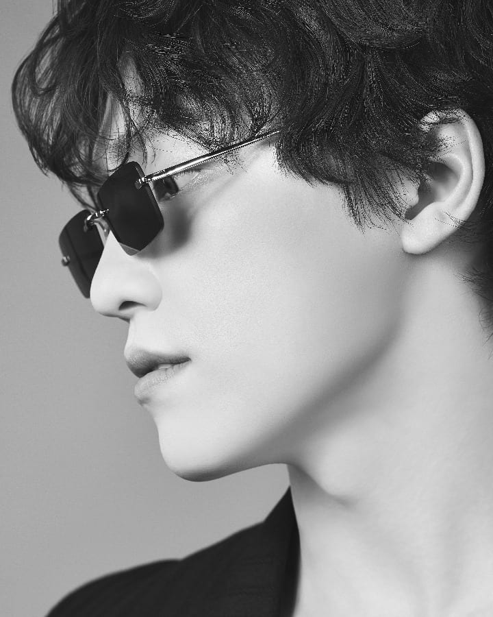 Dino Seventeen
